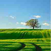 高‍效‍ChatGPT教‌程​